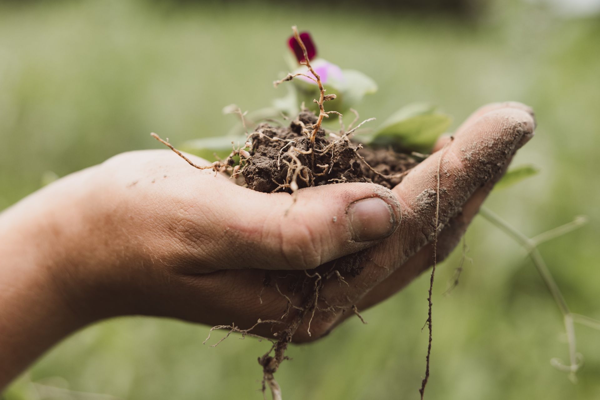 Erdreich-bio-Startseite-Header