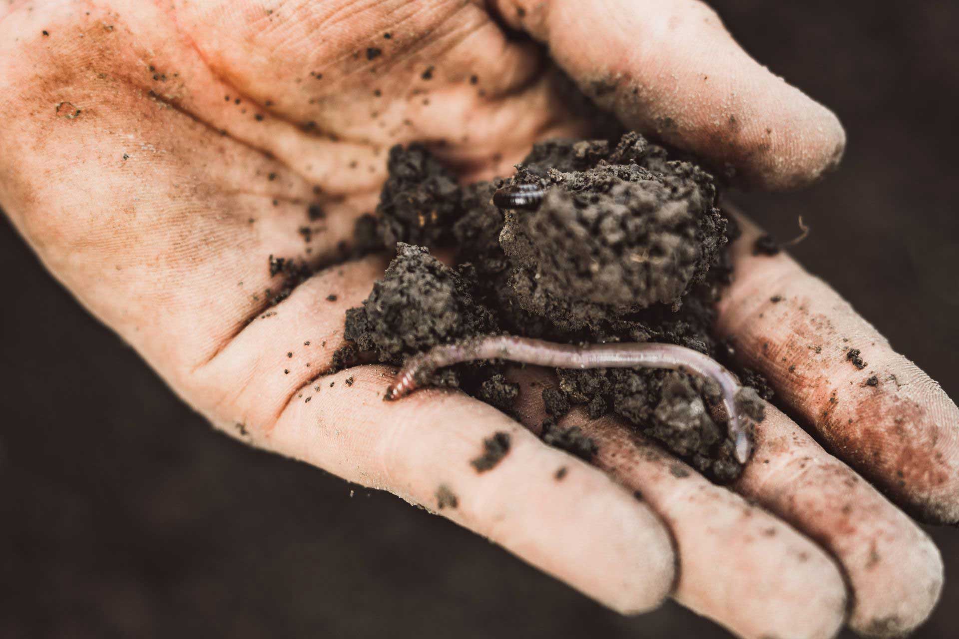 Erdreich-bio-Team-Header