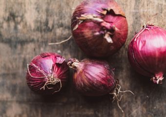 Erdreich-bio-Zulieferer-Marienhof-Zwiebeln